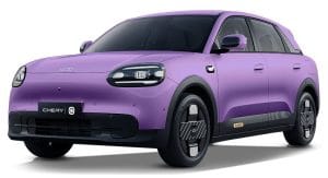 Dusk Purple